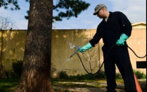 Law
Pest Control